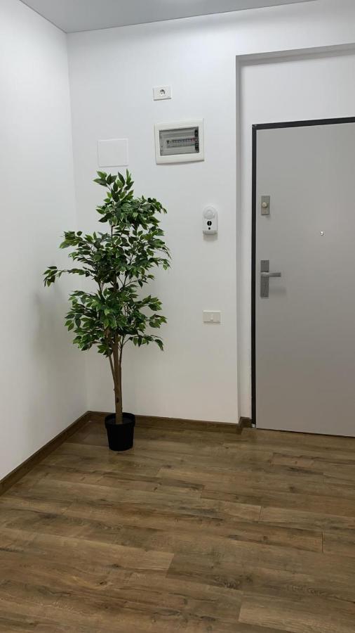 Apartament 435a Mamaia